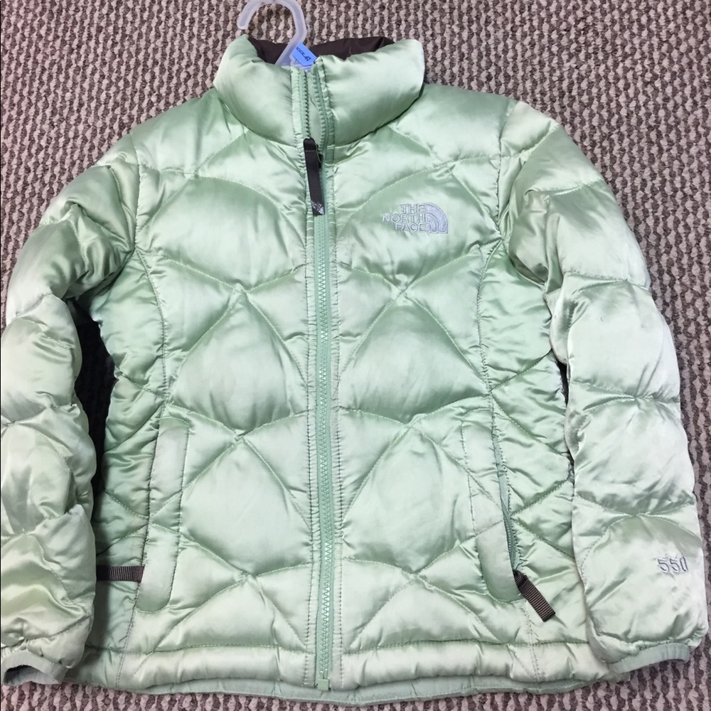 The north face jacket